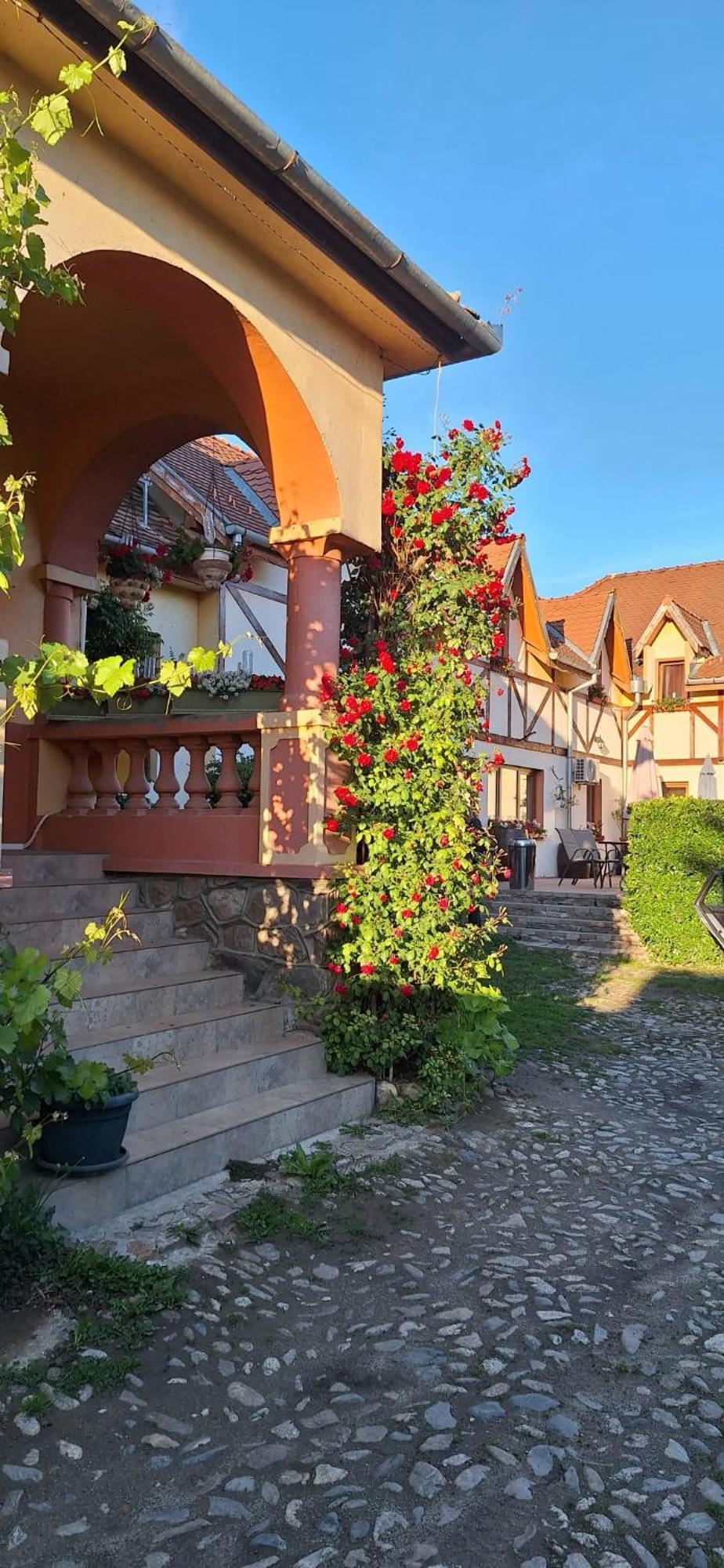 Pensiunea Bendorfeanu Rasinari Exterior photo